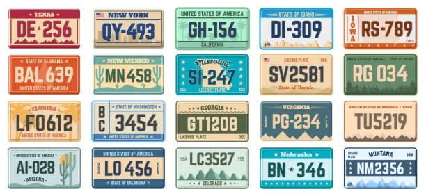 Factores que afectan el tiempo de entrega de las placas